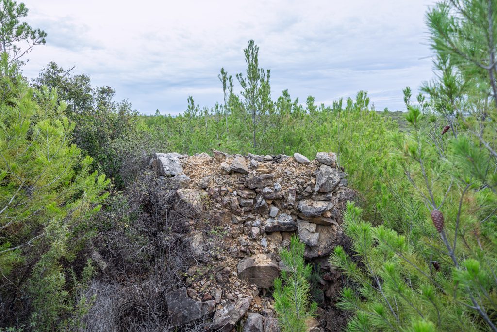 Listing cover image